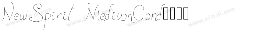 NewSpirit MediumCond字体转换